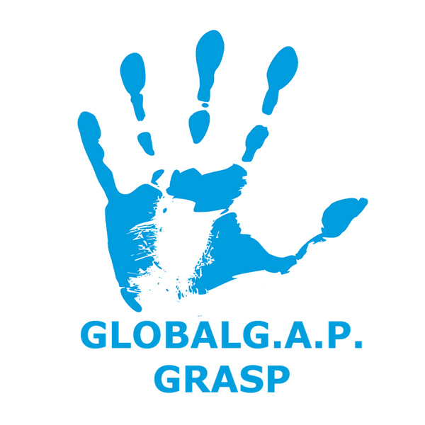 Global GAP GRASP